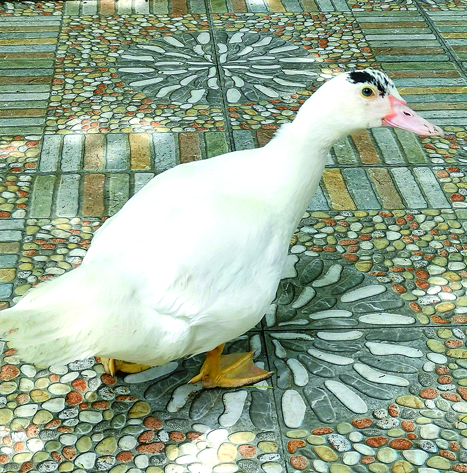 073014.jpg