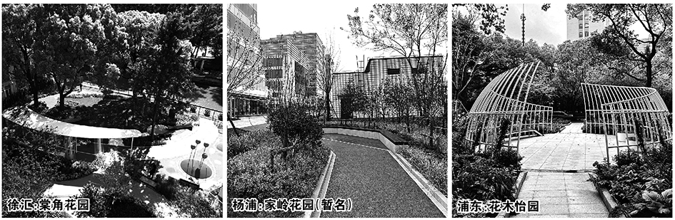 081031.jpg