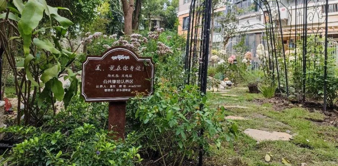 闵行.jpg