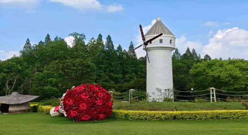 20260610如果，胡三元和花彩香今天来上海领证，会发生什么？2_副本.jpg
