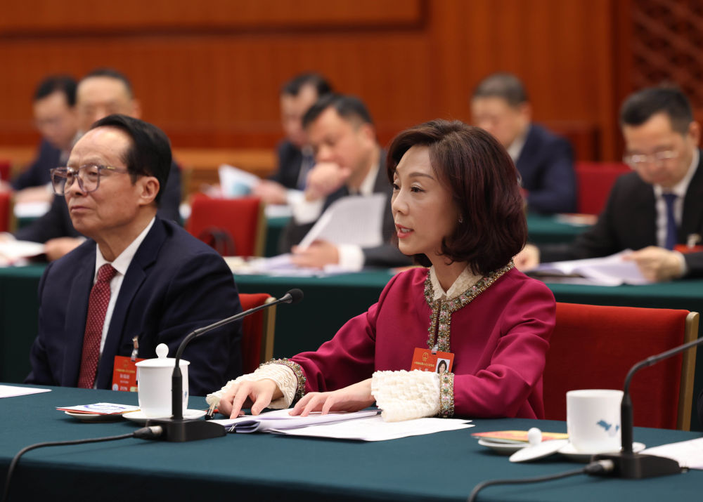 2025年3月5日，全国人大代表王麒在四川代表团全体会议上发言。新华社记者 刘卫兵 摄.jpeg