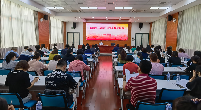 市民政局举办收养业务培训班,夯实收养评估职责
