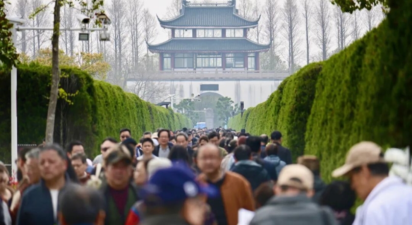 522万余人出行祭扫：2026年本市清明祭扫平安有序