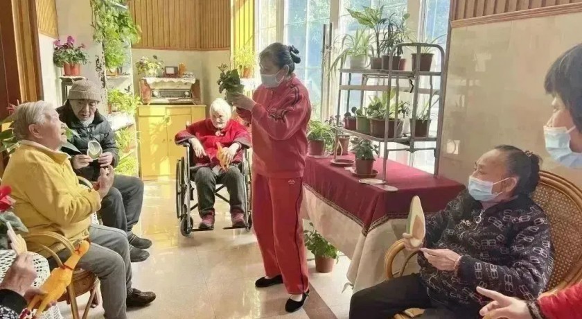 春意款款，岁月缓缓，寻觅藏在杨浦养老机构里的美好