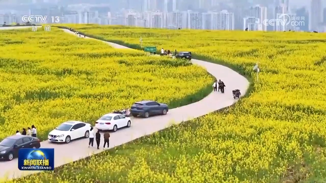 踏青赏花 乐享春日好时光 .jpg
