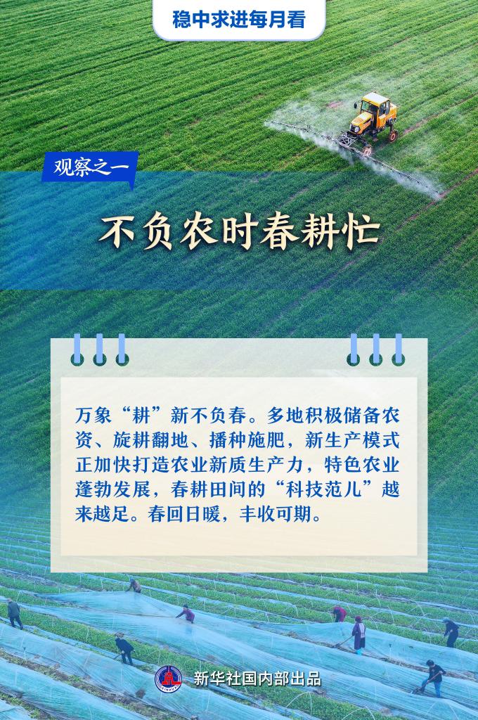 观察之一：不负农时春耕忙.jpeg