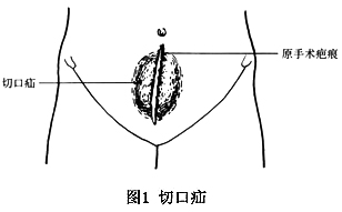 020911.jpg