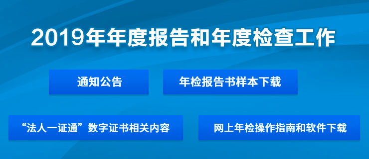 网上年检